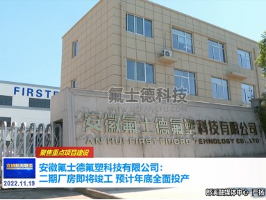 安徽天游ty8氟塑科技有限公司媒体采访